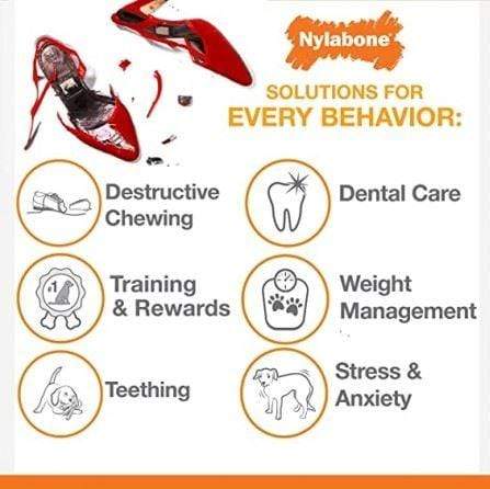 Nylabone Power Chew Wavy Bone Chicken, Large - PetStore.ae