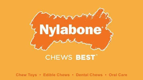 Nylabone Puppy Chew Combo Pack, Medium - PetStore.ae