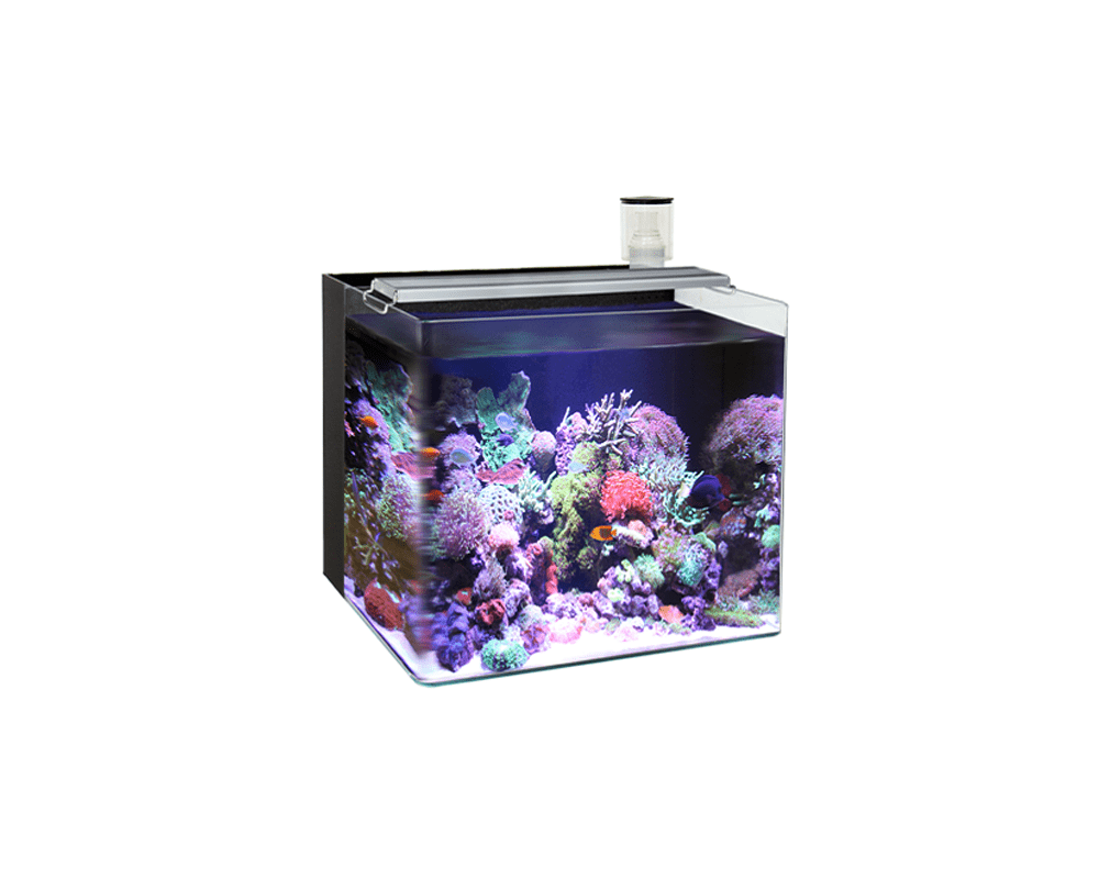 Nano Marine 5 Black Aquarium (60 x 40 x 40 cm)- Ocean Free