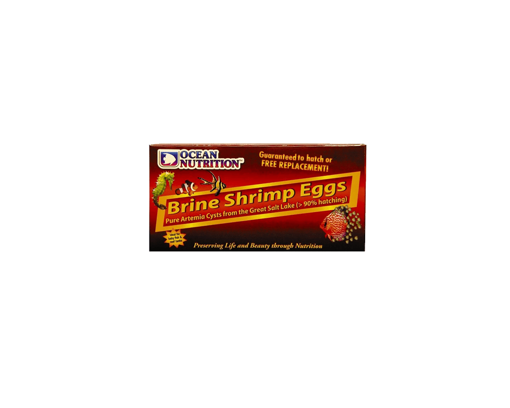 Brine Shrimp Eggs - Ocean Nutrition - PetStore.ae