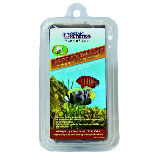 Brown Marine Algae - Fish Food - Ocean Nutrition - PetStore.ae