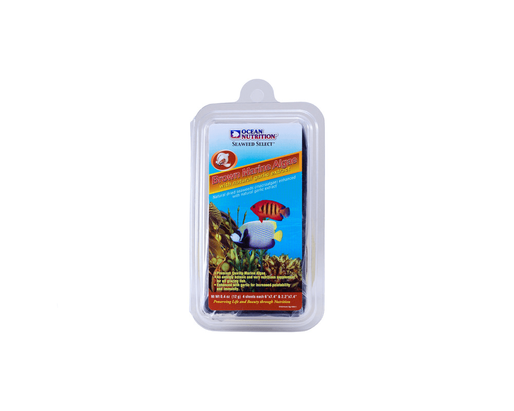 Brown Marine Algae - Fish Food - Ocean Nutrition - PetStore.ae