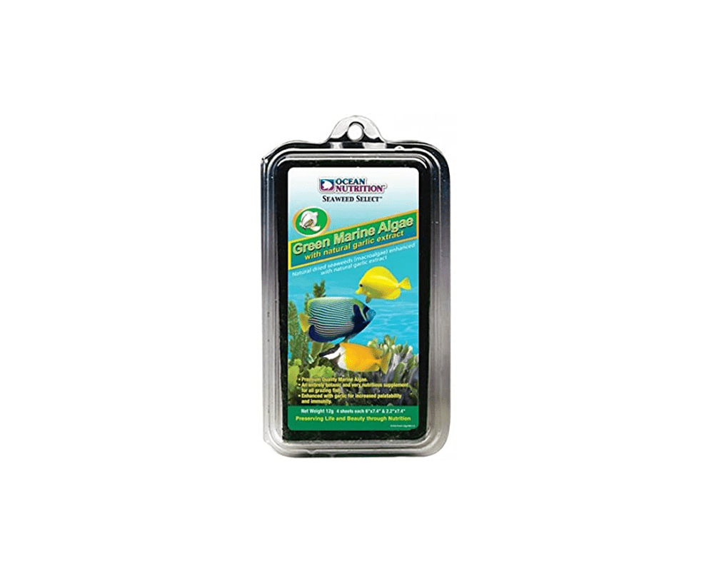 Green Marine Algae Seaweed - Fish Food - Ocean Nutrition