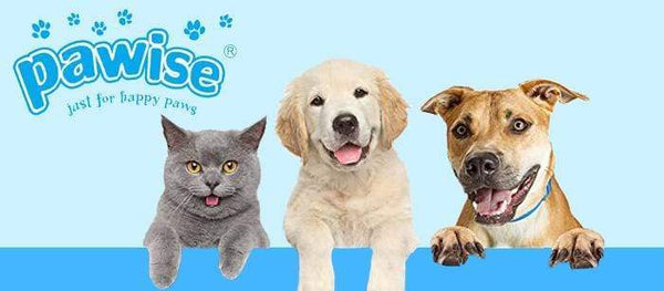 Pawise - Cat Flying Feather With Remote Control - PetStore.ae