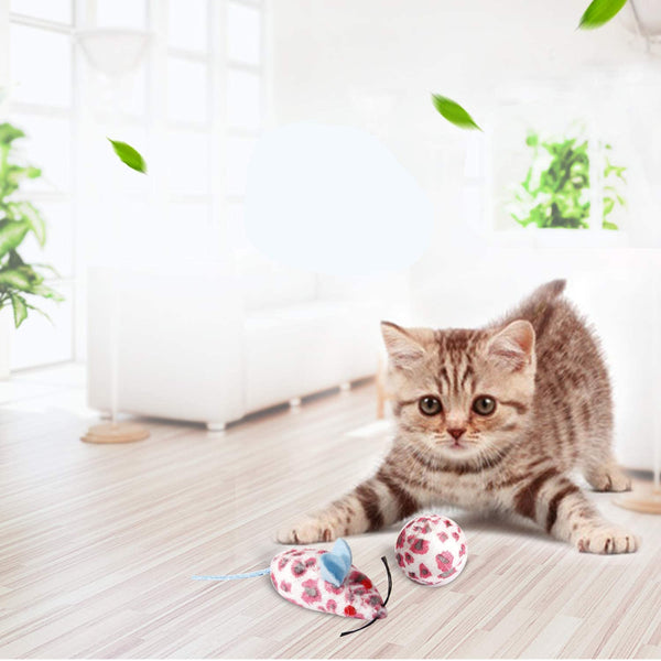 Pawise - Cat Flying Feather With Remote Control - PetStore.ae