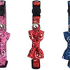 Pawise Cat Collar with Bowknot - PetStore.ae