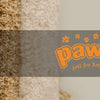 Pawise Flower Cat Collar - PetStore.ae