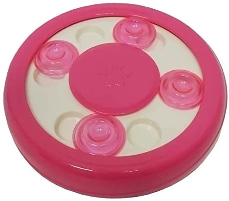 Pawise - Cat Puzzle Toy - PetStore.ae