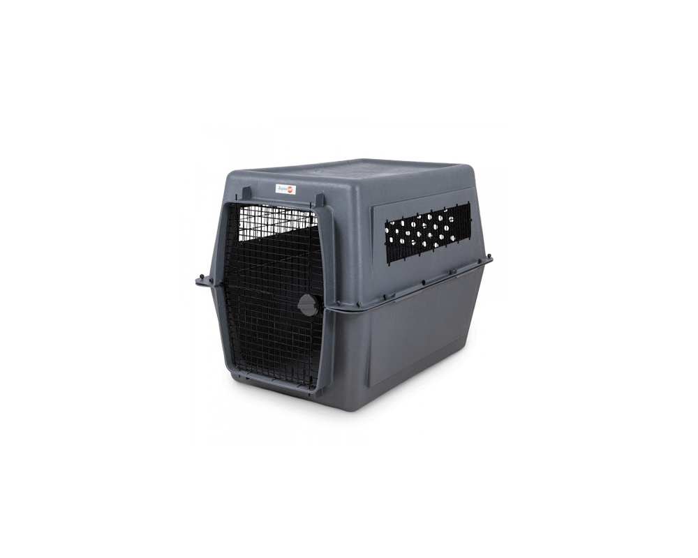Pet Porter Traditional IATA Compliant Pet Transport Carrier - Petmate