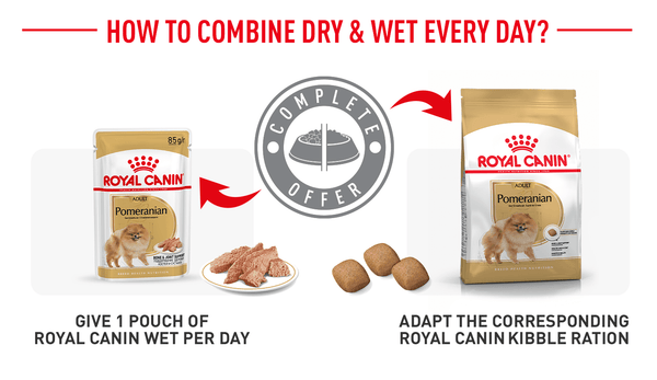 Royal Canin Pomeranian Adult Dry Dog Food & Loaf in Gravy Pouch Dog Food Bundle Pack - PetStore.ae