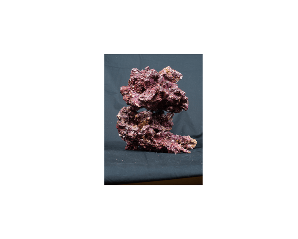 Mixed Rock - Real Reef - PetStore.ae
