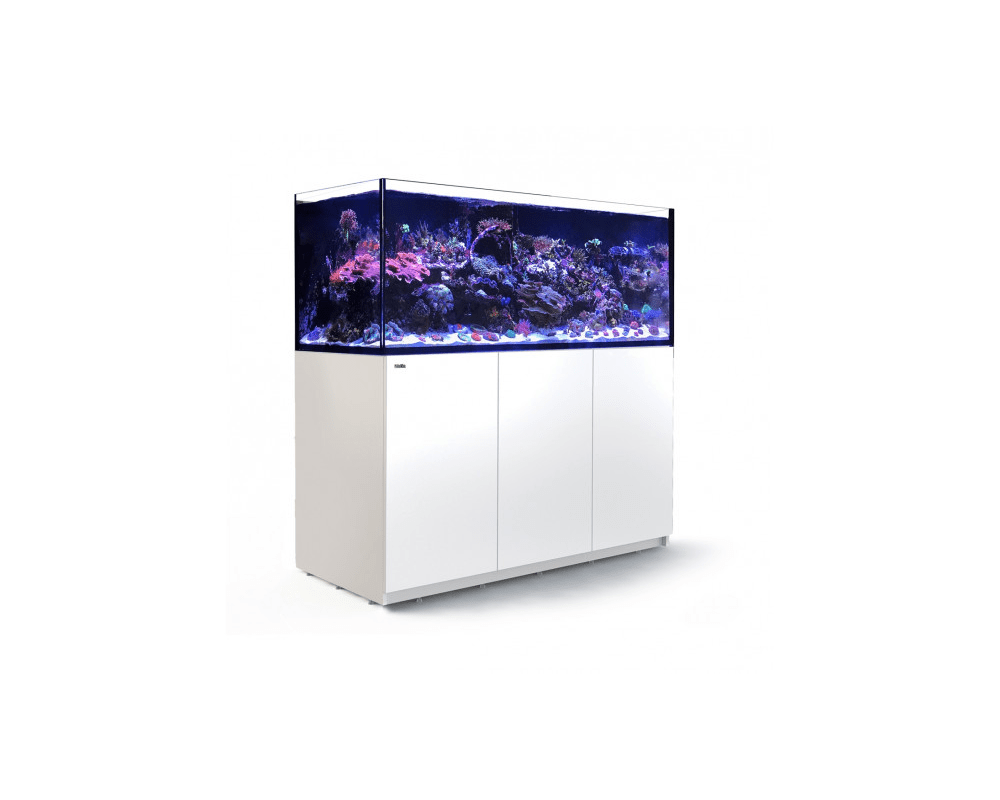 REEFER XXL 750 Aquarium Set (180L x 65W x 148H cm) - Red Sea