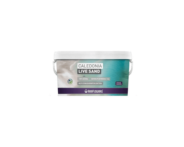Caledonia Live Sand - ReeFlowers - PetStore.ae