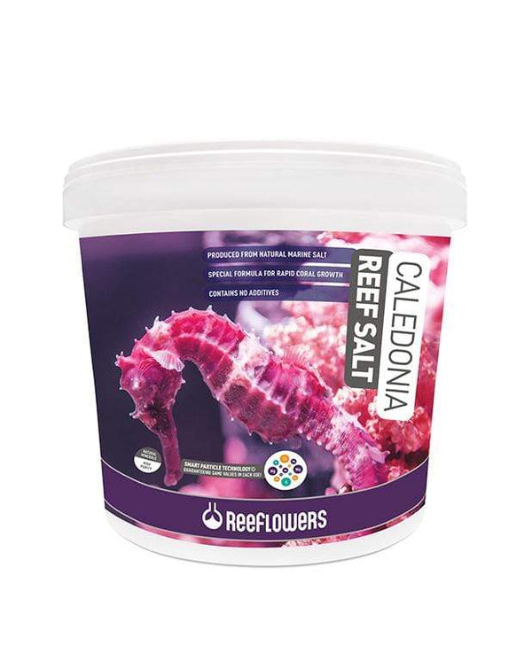 Caledonia Reef Salt - ReeFlowers - PetStore.ae