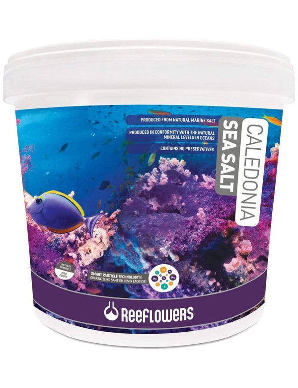 Caledonia Sea Salt - ReeFlowers - PetStore.ae
