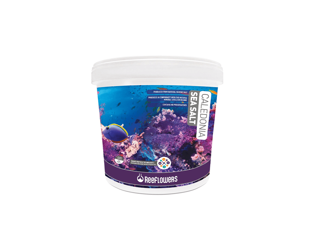 Caledonia Sea Salt - ReeFlowers
