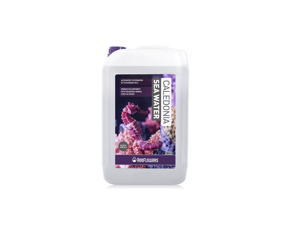 Caledonia Sea Water - ReeFlowers