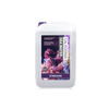 Caledonia Sea Water - ReeFlowers