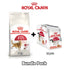 products/royal-canin-food-for-pets-royal-canin-feline-health-nutrition-fit-32-cat-food-instinctive-adult-cats-gravy-wet-food-pouches-bundle-pack-34602877124838.jpg