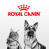 products/royal-canin-food-for-pets-royal-canin-feline-health-nutrition-fit-32-cat-food-instinctive-adult-cats-gravy-wet-food-pouches-bundle-pack-34602877255910.png