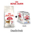 products/royal-canin-non-prescription-cat-food-royal-canin-feline-health-nutrition-fit-32-cat-food-instinctive-adult-cats-jelly-wet-food-pouches-bundle-pack-34603206181094.jpg