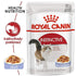 products/royal-canin-non-prescription-cat-food-royal-canin-feline-health-nutrition-fit-32-cat-food-instinctive-adult-cats-jelly-wet-food-pouches-bundle-pack-34603241767142.jpg