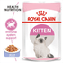 products/royal-canin-non-prescription-cat-food-royal-canin-feline-health-nutrition-kitten-food-kitten-jelly-wet-food-pouches-bundle-pack-34607563210982.png