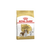 Cavalier King Charles Adult Dog Food - Royal Canin - PetStore.ae