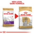 products/royal-canin-pets-1-5kg-royal-canin-breed-health-nutrition-maltese-adult-1-5kg-17548561350818.jpg