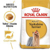 Yorkshire Terrier Adult Dog Food - Royal Canin - PetStore.ae