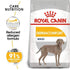 products/royal-canin-pets-10kg-royal-canin-maxi-dermacomfort-10kg-16479206178951.jpg