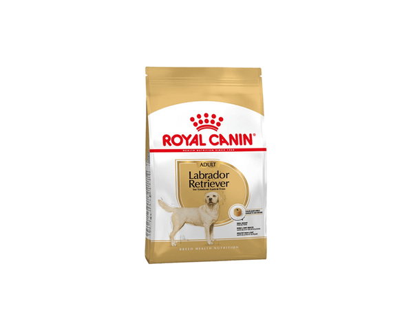 Labrador Retriever Adult Dog Food - Royal Canin - PetStore.ae