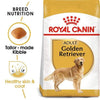Golden Retriever Adult Dog Food - Royal Canin - PetStore.ae