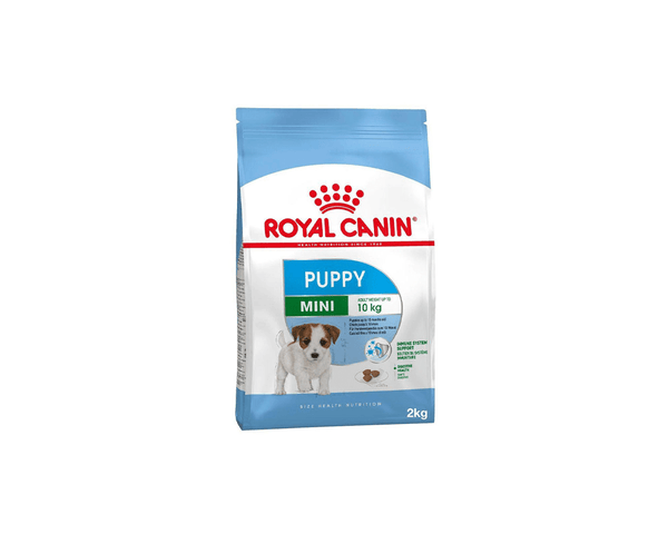 Mini Puppy Dog Food - Royal Canin - PetStore.ae