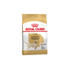 Labrador Retriever Adult Dog Food - Royal Canin - PetStore.ae