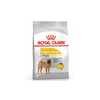 Medium Dermacomfort Dog Food - Royal Canin - PetStore.ae