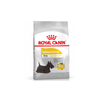 Mini Dermacomfort Dog Food - Royal Canin - PetStore.ae