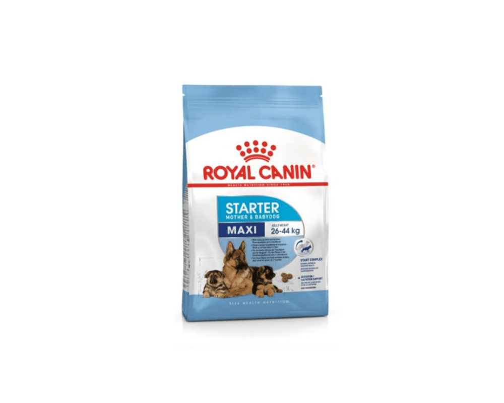 Maxi Starter Dog Food - Royal Canin