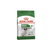 Mini Adult 8+ Dog Food - Royal Canin - PetStore.ae