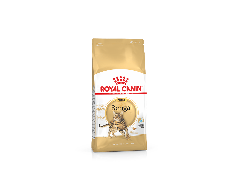 Feline Breed Nutrition Bengal Adult Food - Royal Canin