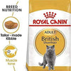 Feline Breed Nutrition British Shorthair Adult Cat Food - Royal Canin - PetStore.ae