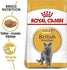products/royal-canin-pets-feline-breed-nutrition-british-shorthair-adult-cat-food-royal-canin-18295020683426.jpg