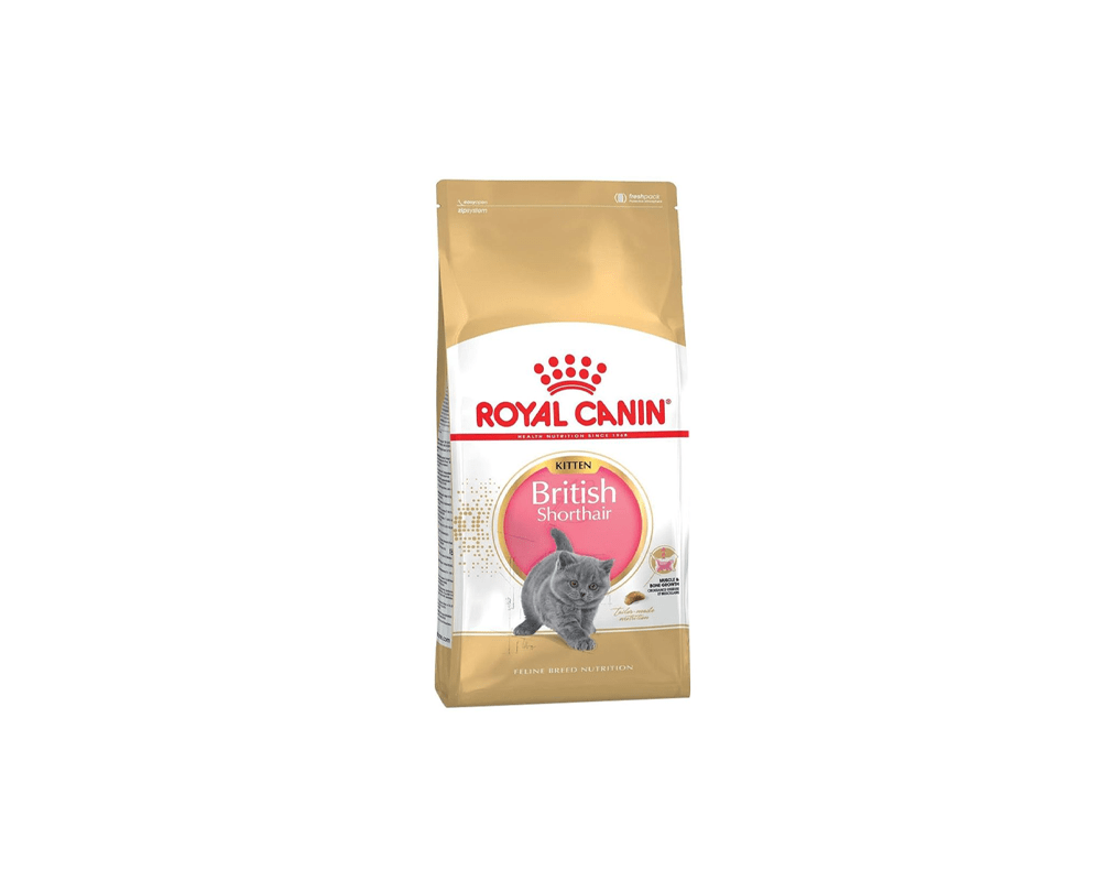 Feline Breed Nutrition British Shorthair Kitten - Royal Canin