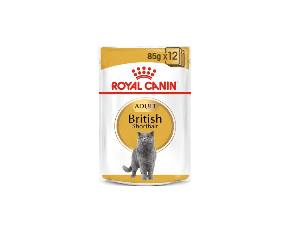 Feline Breed Nutrition British Shorthair (WET FOOD - Pouches) - Royal Canin