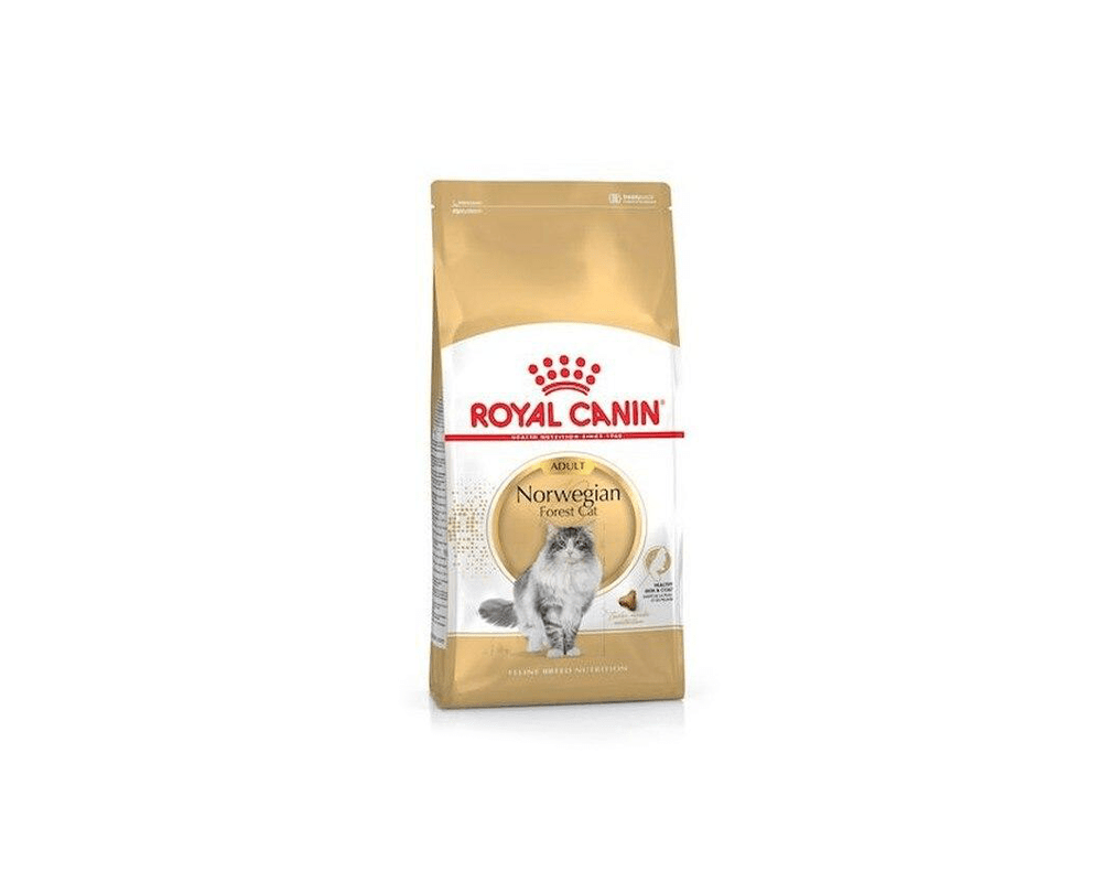 Feline Breed Nutrition Norwegian Forest Cat Food - Royal Canin