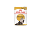 Feline Breed Nutrition Persian Cat Food Pouch - Royal Canin