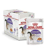 Feline Health Nutrition Sterilised Jelly (WET FOOD - Pouches) - Royal Canin - PetStore.ae