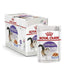 products/royal-canin-pets-feline-health-nutrition-sterilised-jelly-wet-food-pouches-royal-canin-18272934297762.jpg