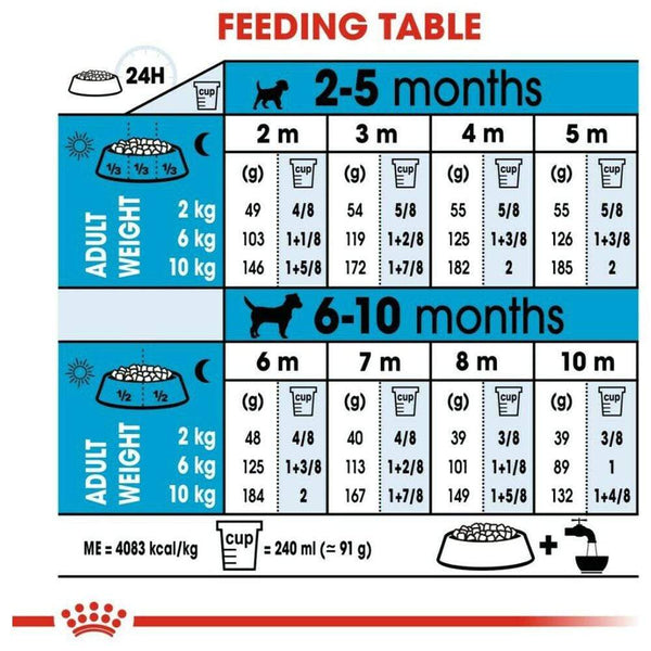 Mini Puppy Dog Food - Royal Canin - PetStore.ae