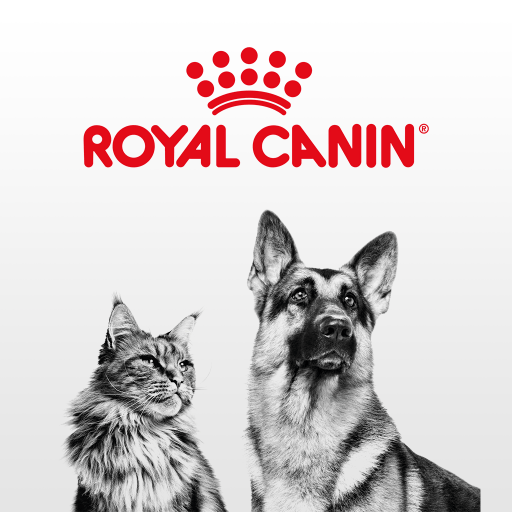 Mini Puppy Dog Food - Royal Canin - PetStore.ae